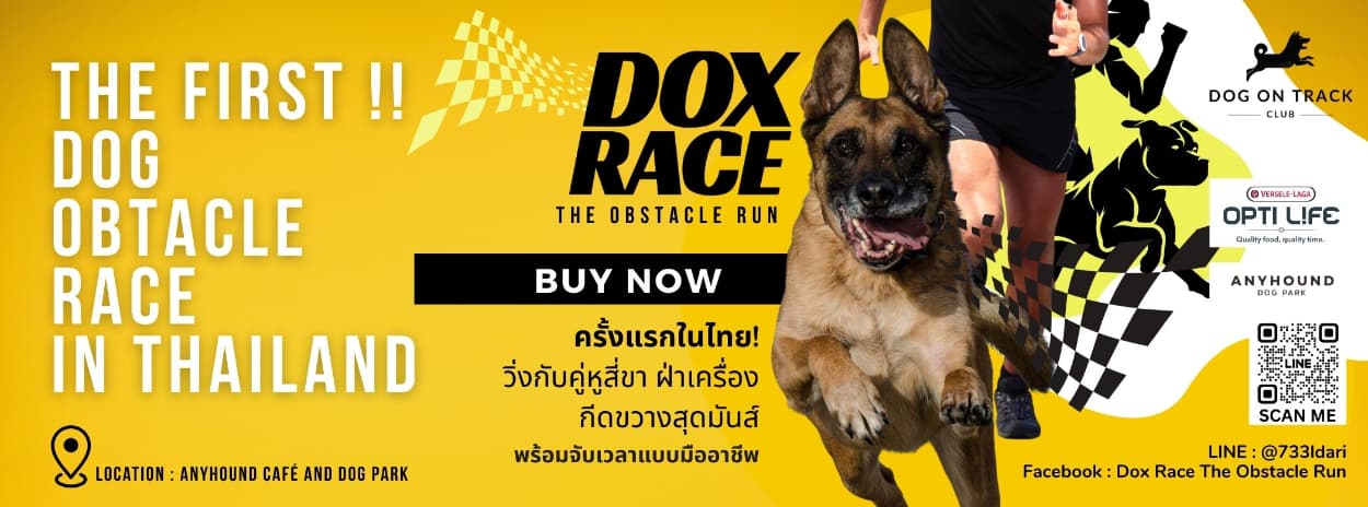 DOX RACE THE OBSTACLE RUN