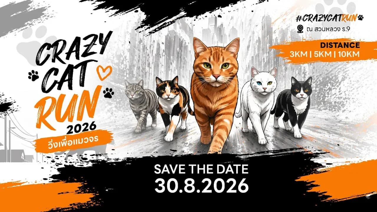 Crazy Cat Run วิ่งเพื่อแมวจร 2026 วิ่งเพื่อแมวจร ปี 3